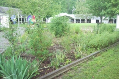 snc00074
