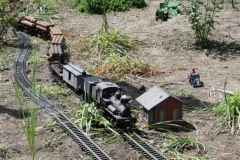photo15