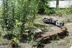 photo16