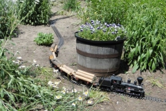 photo7