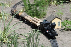 photo8