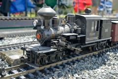 golden20spike_dsc5459