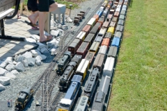 golden20spike_dsc5481